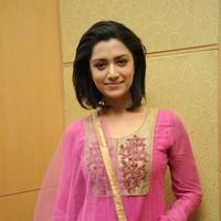 Mamta Mohandas at Anwar audio launch - Pictures | Picture 96122